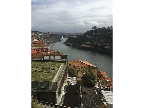 Porto Portugal During the Day.