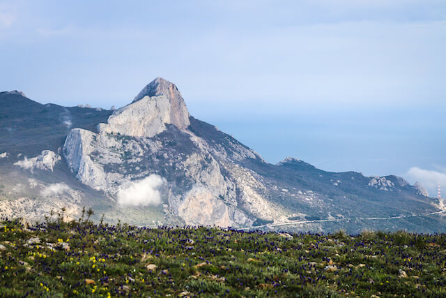 Crimea Ukraine Russia Hiking Travel Flowers