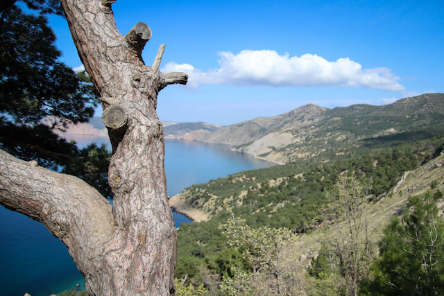 Crimea Ukraine Russia Hiking Travel Nature 2