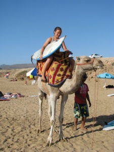 Morocco Travel Tips Camel